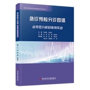 急诊预检分诊图谱：从导图分析到案例实战