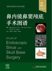 鼻内镜鼻窦颅底手术图谱（原书第2版） 国际经典神经外科学译著