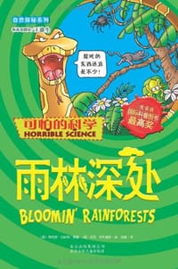 雨林深处