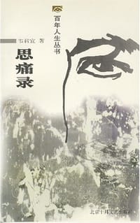 书籍 思痛录的封面