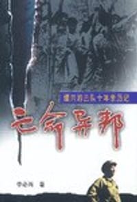 亡命异邦 - 李必雨