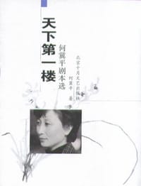 书籍 天下第一楼的封面