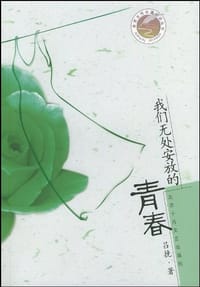 我们无处安放的青春 - 吕挽
