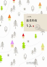 书籍 温柔的夜的封面