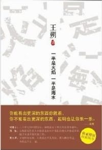 书籍 一半是火焰 一半是海水的封面