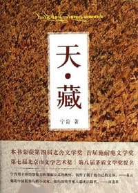 书籍 天·藏的封面