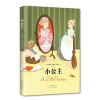 书籍 小公主的封面