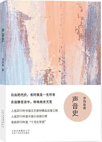 书籍 声音史的封面