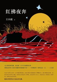 红拂夜奔 - 王小波