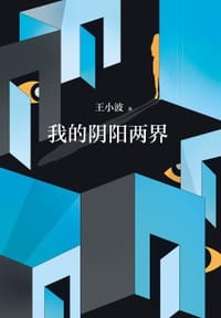 书籍 我的阴阳两界的封面