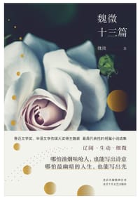 书籍 魏微十三篇的封面