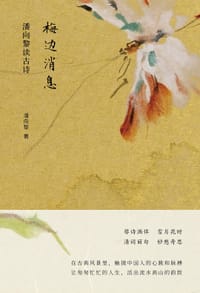 书籍 梅边消息的封面