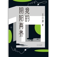 我的阴阳两界 - 王小波