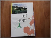 通衢掠美 - 姜宁馨主编
