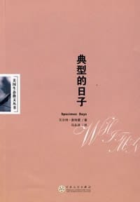 书籍 典型的日子的封面