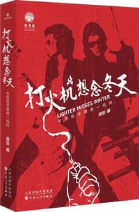 书籍 打火机想念冬天的封面
