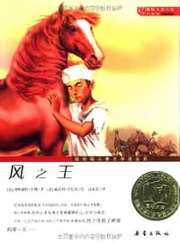 书籍 风之王的封面