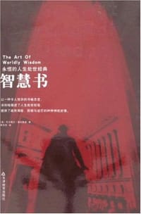 书籍 智慧书的封面