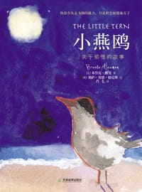 小燕鸥 - (美)布鲁克·纽曼