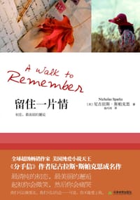 书籍 留住一片情的封面