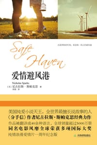 书籍 避风港的封面