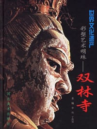 书籍 彩塑艺术明珠的封面