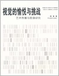 视觉的愉悦与挑战