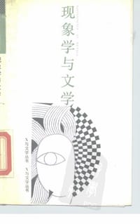 书籍 现象学与文学的封面