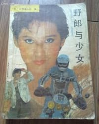 书籍 野郎与少女的封面
