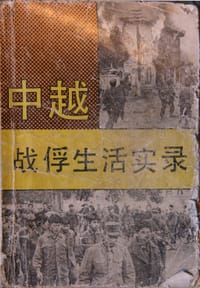 书籍 中越战俘生活实录的封面