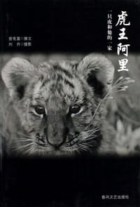 书籍 虎王阿里的封面