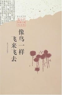 书籍 像鸟一样飞来飞去的封面