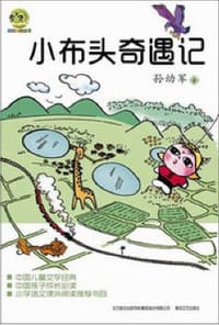 书籍 小布头奇遇记的封面