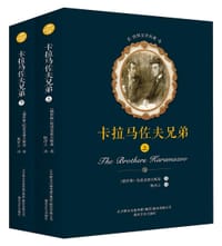 书籍 卡拉马佐夫兄弟的封面