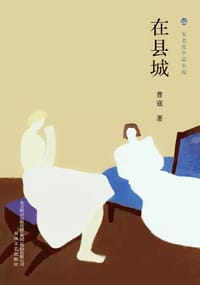 书籍 在县城的封面