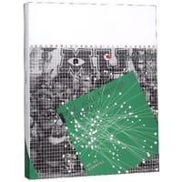 中外动画史/21世纪全国高等院校动漫游戏专业“十三五”精品课程规划教材