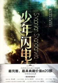 书籍 少年闪电侠的封面
