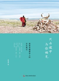 书籍 只为途中与你相见的封面