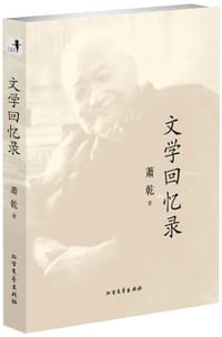 书籍 文学回忆录的封面