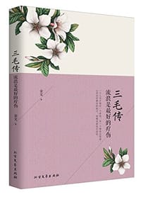 书籍 三毛传的封面