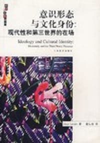 书籍 意识形态与文化身份的封面