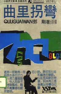 书籍 曲里拐弯的封面