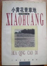 小黄花青草地 - 林燕妮