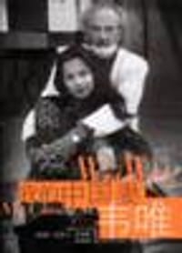 书籍 我的中国妻韦唯的封面