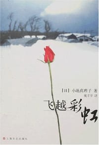 书籍 飞越彩虹的封面