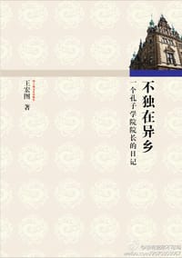 不独在异乡 - 王宏图