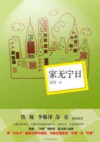 书籍 家无宁日的封面