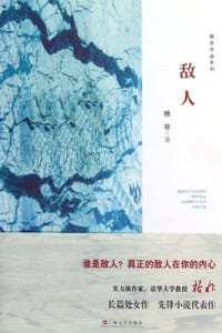 书籍 敌人的封面