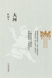 书籍 大河的封面