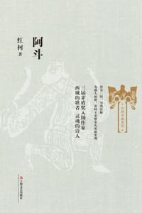 书籍 阿斗的封面